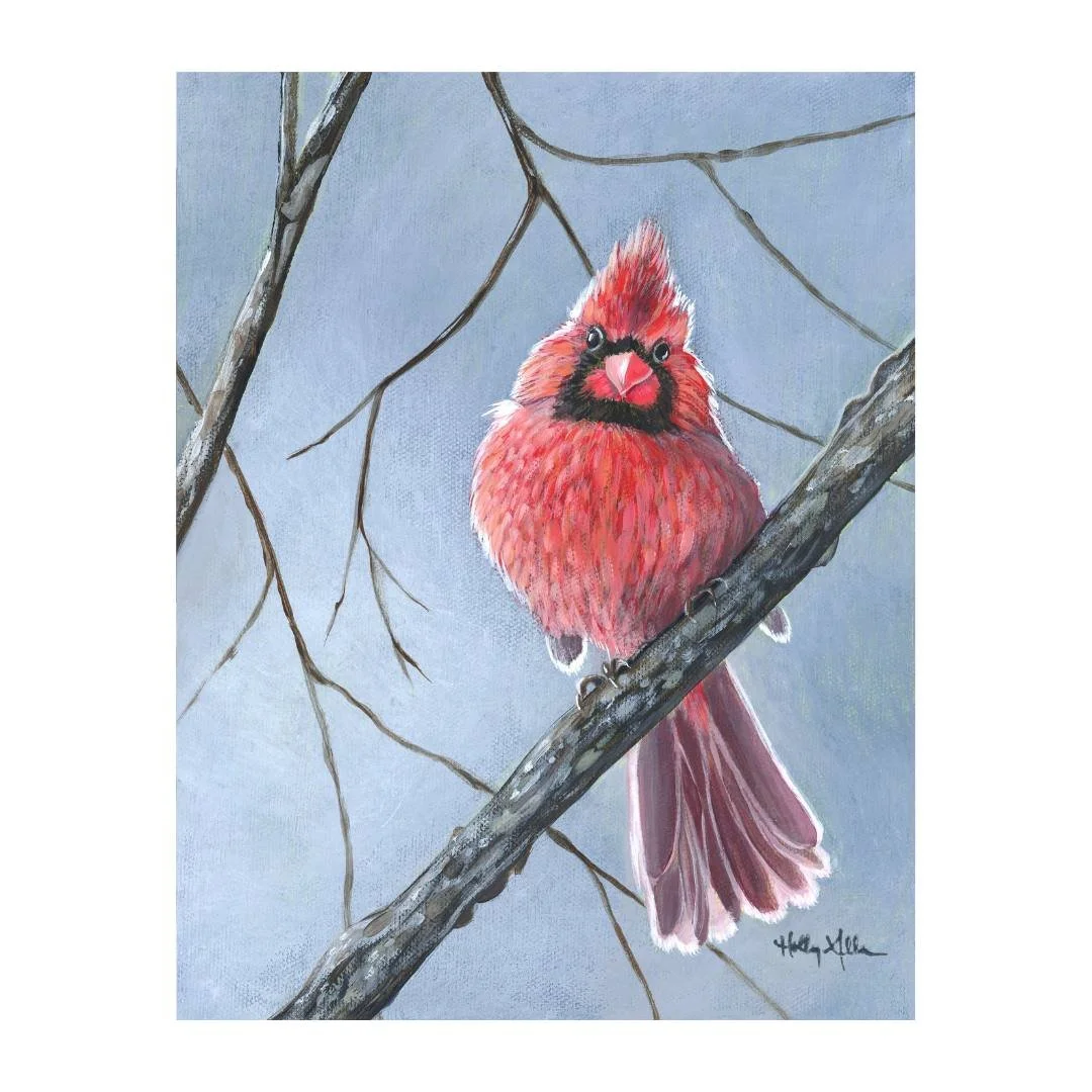 Red Visitor